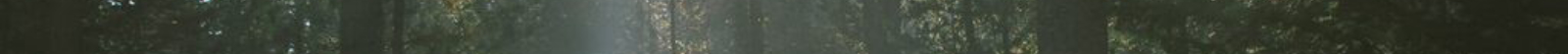 title 3